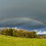 欧洲人与动牲交视频 n0brsc