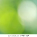 yrcypf